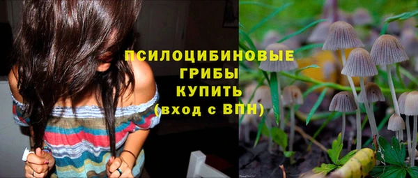 твердый Абаза
