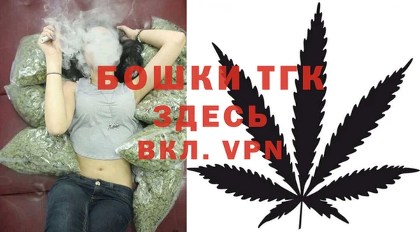 тгк Алексин