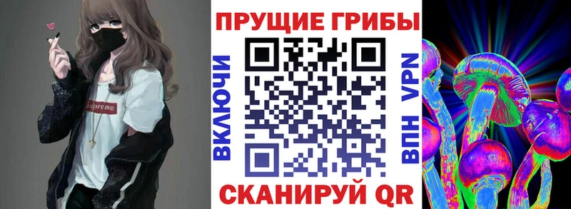 Псилоцибиновые грибы GOLDEN TEACHER Иланский